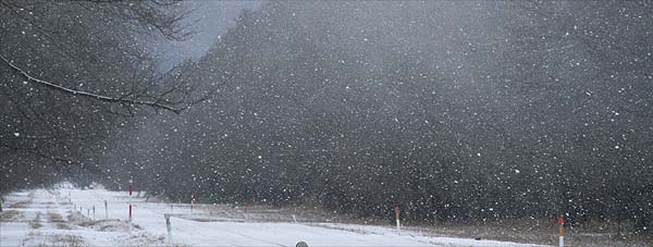 風で雪が舞っている二十間道路