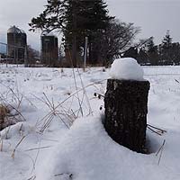 雪を乗せた切り株