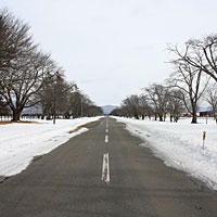 二十間道路の様子