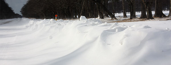 雪の道