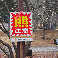 熊注意の看板