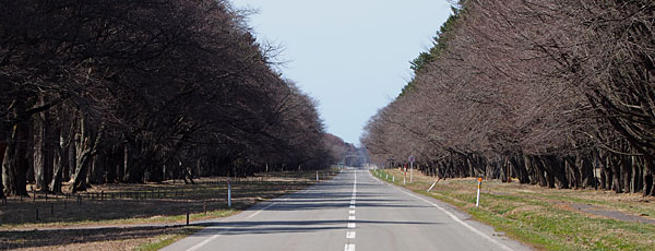 二十間道路