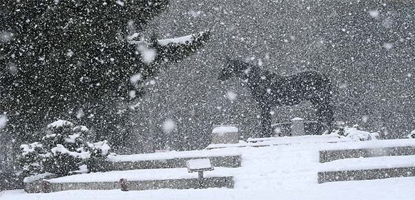 雪が降る中のテスコボーイ像